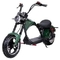 Neumático gordo Citycoco Harley Scooter eléctrico 1000w 60v 2000w para los adultos