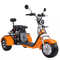 Vespa eléctrica 2000w 1000w 1500w de la rueda del triciclo 3 del EEC Citycoco