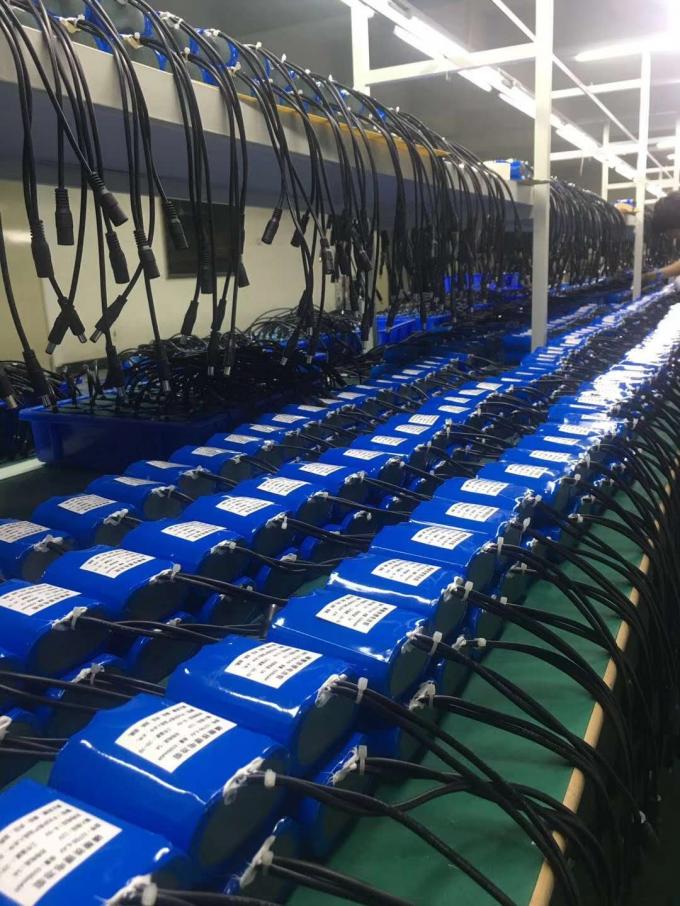 Sistema de los accesorios de la bici de Li-Ion Battery Pack 36v 8.8ah 24v 9000mah E de la E-bici 2