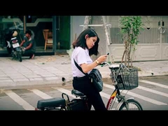 UE eléctrica de la bici de la suciedad de la ciudad de la pantalla LCD del bajo costo 250w 48v bici eléctrica de la pulgada 36V de 20