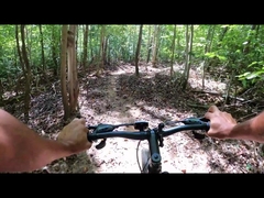 bicicleta eléctrica 29 del almacén del Reino Unido del motor gordo del cubo del neumático de 250w 750w en China